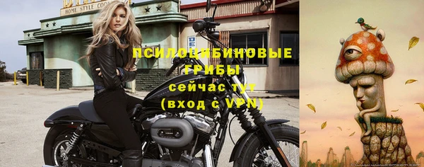 СК Нязепетровск